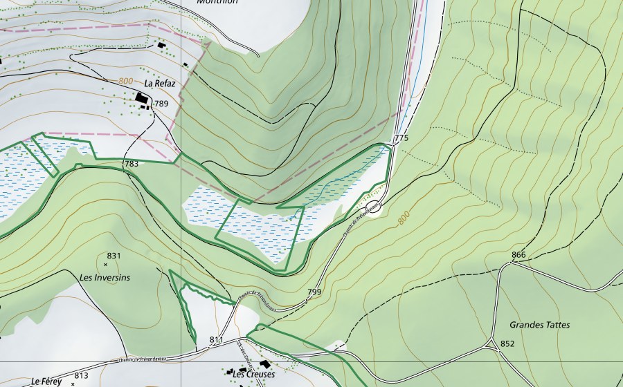 Carta nazionale swisstopo con il perimetro protetto di Marais des Inversins (Riserva naturale)