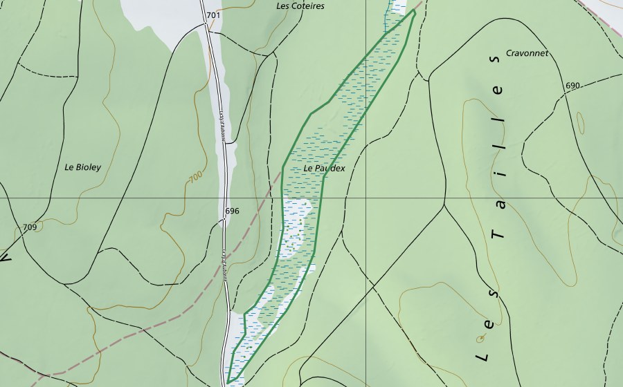 Carta nazionale swisstopo con il perimetro protetto di Marais du Paudex (Riserva naturale)