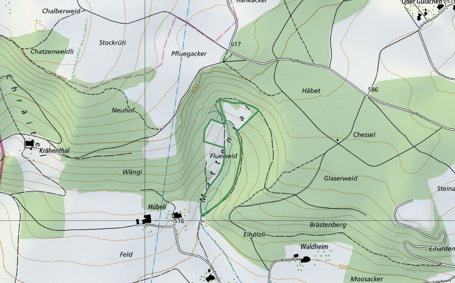 swisstopo national map showing the protected perimeter of Mattentäli (Nature reserve)