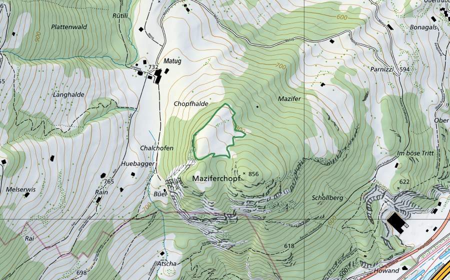 Carte nationale swisstopo avec le périmètre protégé de Maziferchopf (Réserve naturelle)