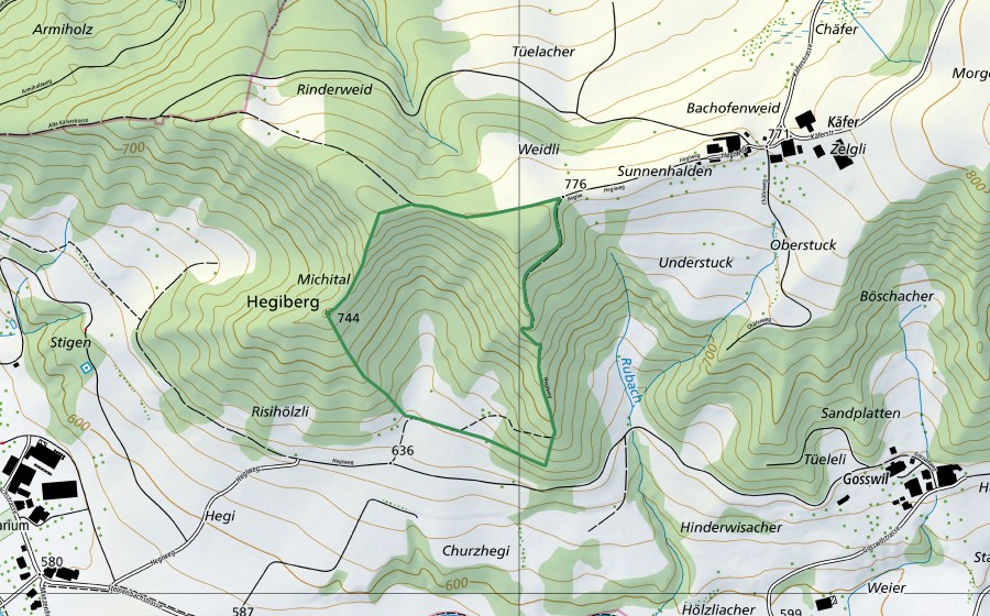 Landeskarte swisstopo mit dem Schutzperimeter von Michital (Naturschutzgebiet)