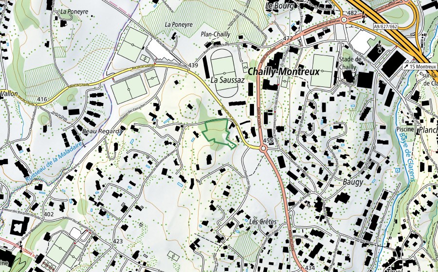 Landeskarte swisstopo mit dem Schutzperimeter von Mont Burier (Naturschutzgebiet)