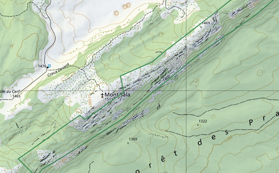 Carte nationale swisstopo avec le périmètre protégé de Mont Sâla (Réserve naturelle)