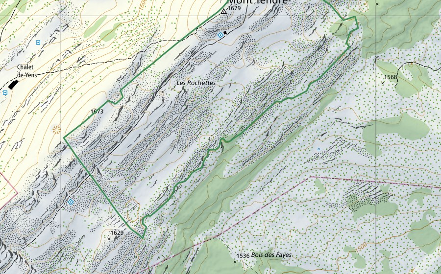 swisstopo national map showing the protected perimeter of Mont Tendre (Nature reserve)