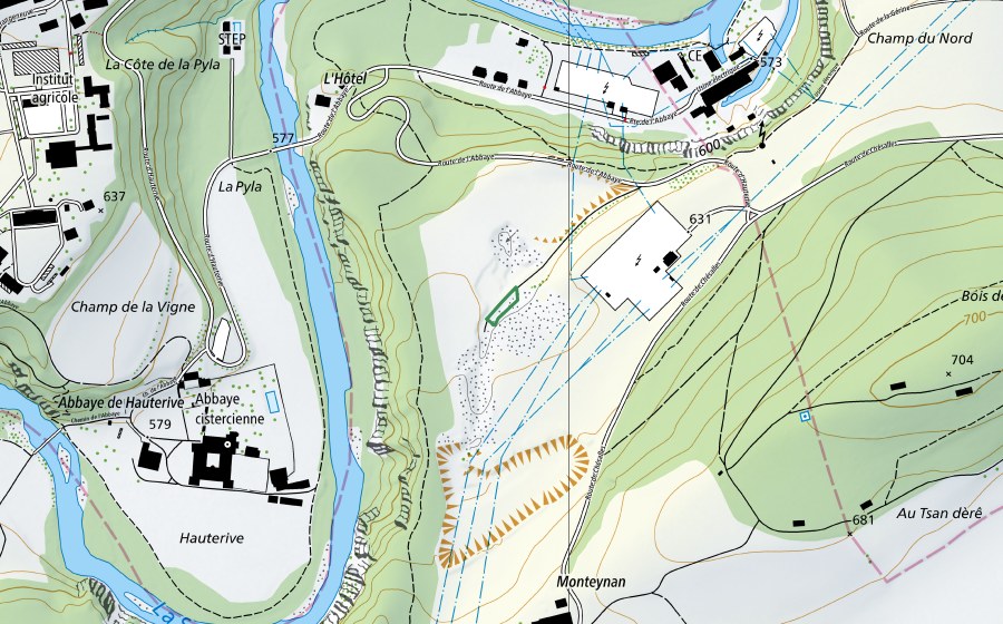 Carte nationale swisstopo avec le périmètre protégé de Monteynan, Arconciel (Réserve naturelle)