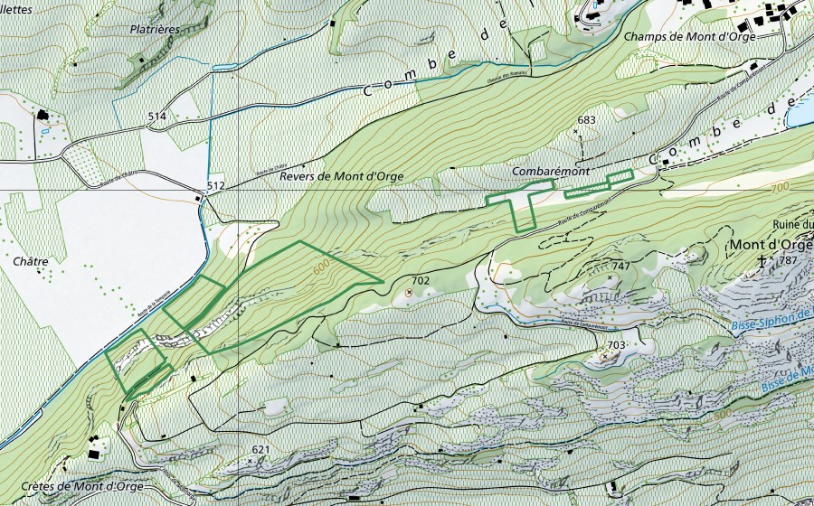 Carte nationale swisstopo avec le périmètre protégé de Montorge (Réserve naturelle)
