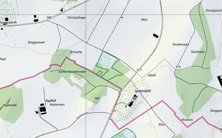 Carte nationale swisstopo avec le périmètre protégé de Moos beim Junkersbüelerwald (Réserve naturelle)