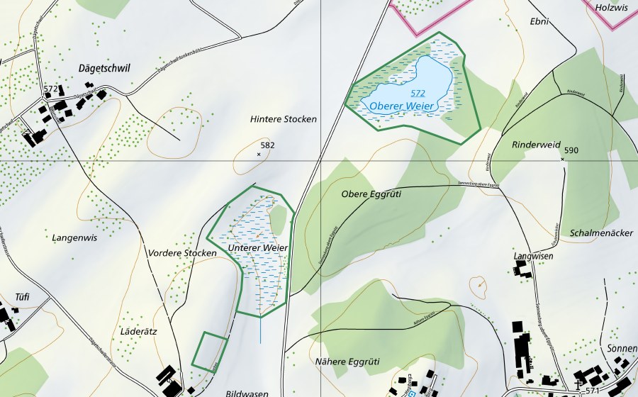 Landeskarte swisstopo mit dem Schutzperimeter von Moosweiher (Naturschutzgebiet)
