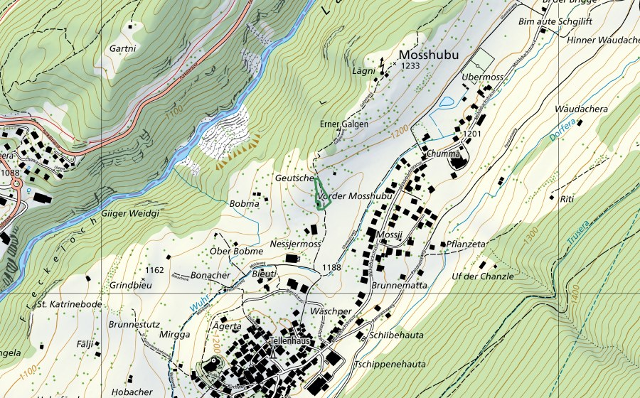 Carte nationale swisstopo avec le périmètre protégé de Mosshubu (Réserve naturelle)