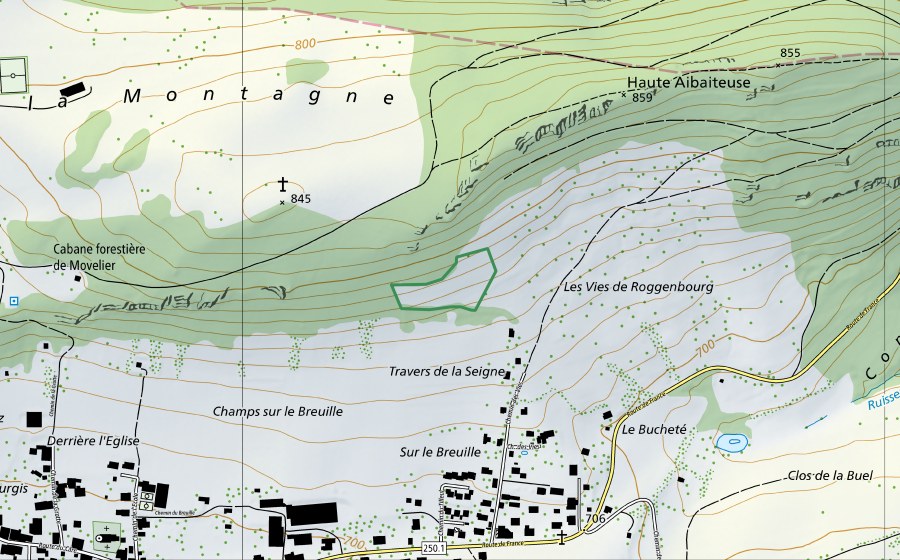 Carte nationale swisstopo avec le périmètre protégé de Movelier - Breuille (Réserve naturelle)