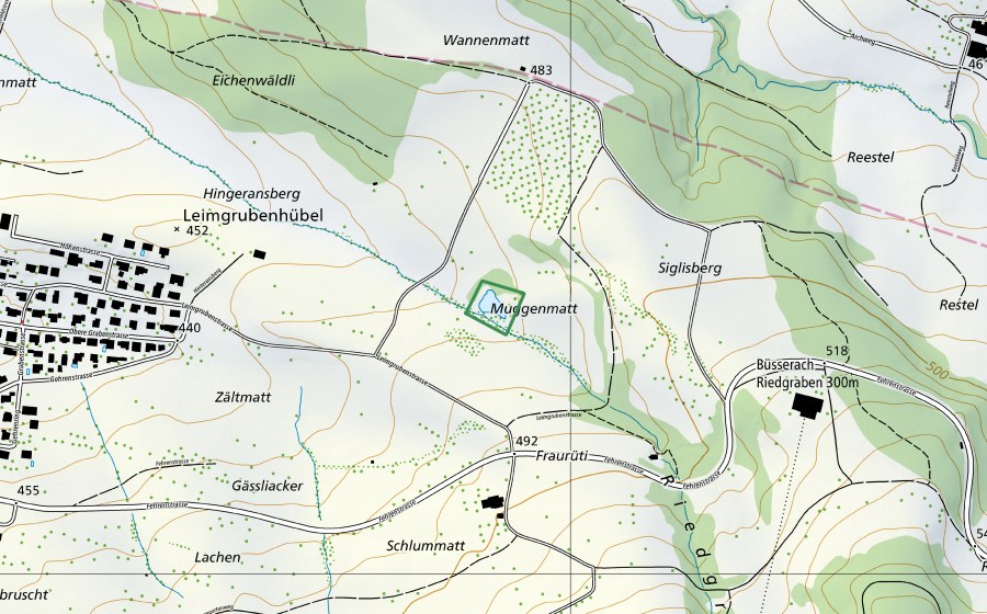 Landeskarte swisstopo mit dem Schutzperimeter von Muhenmatt (Naturschutzgebiet)