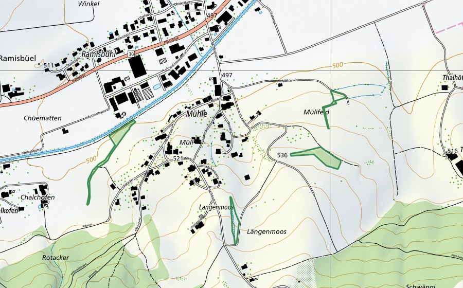 Carte nationale swisstopo avec le périmètre protégé de Mühli (Réserve naturelle)