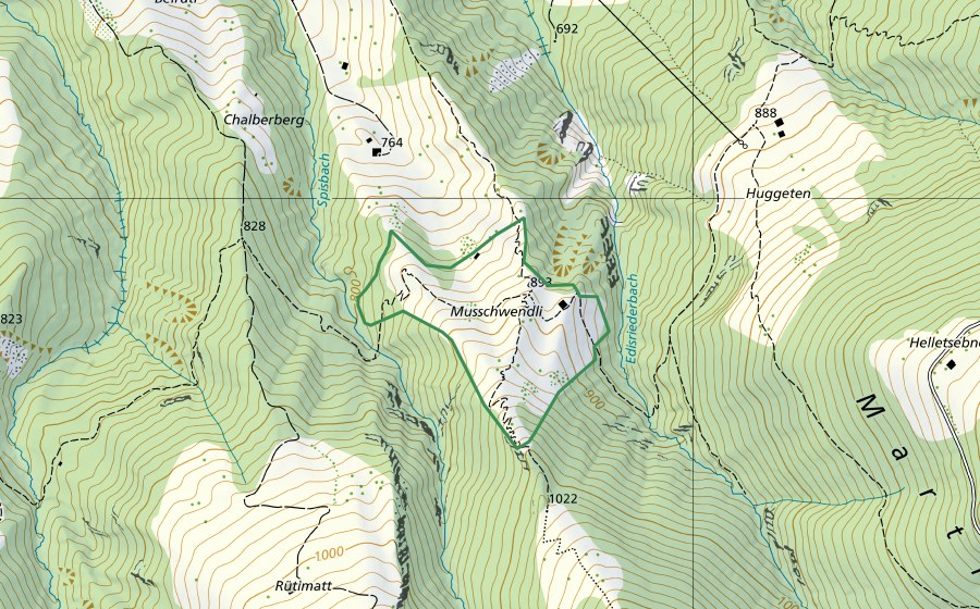 swisstopo national map showing the protected perimeter of Muisschwendli (Nature reserve)