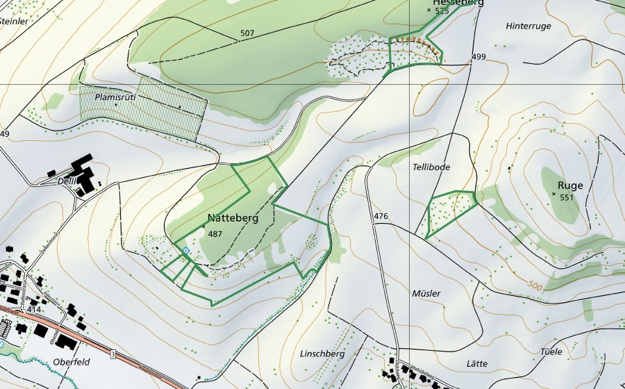 Landeskarte swisstopo mit dem Schutzperimeter von Nätteberg, Hessenberg, Ruge (Naturschutzgebiet)