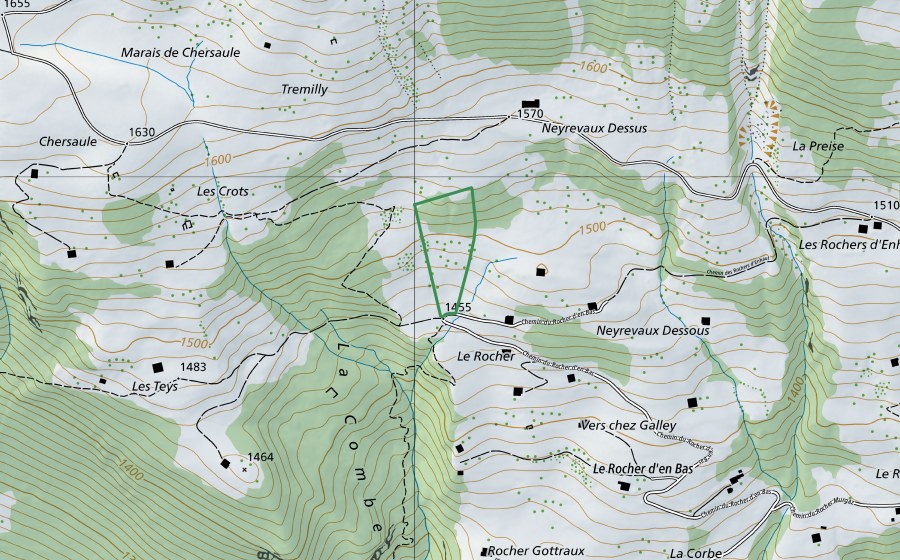 Carte nationale swisstopo avec le périmètre protégé de Neirevaux (Réserve naturelle)