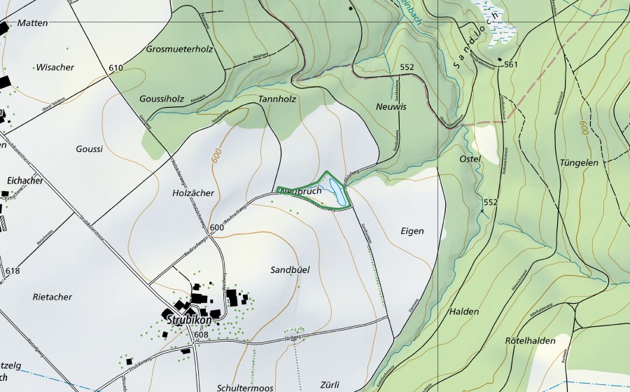 swisstopo national map showing the protected perimeter of Neubruch Strubikon (Nature reserve)