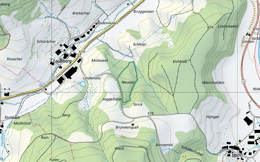 Carte nationale swisstopo avec le périmètre protégé de Neuwis (Réserve naturelle)