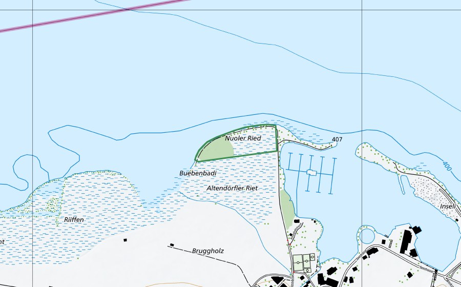 Landeskarte swisstopo mit dem Schutzperimeter von Nuolener Ried (Naturschutzgebiet)