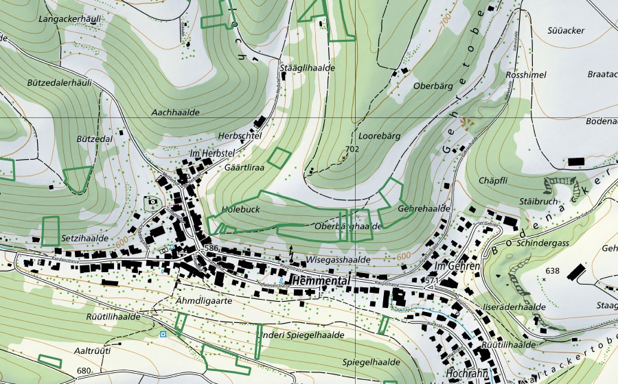 Landeskarte swisstopo mit dem Schutzperimeter von Oberbärghaalde (Naturschutzgebiet)
