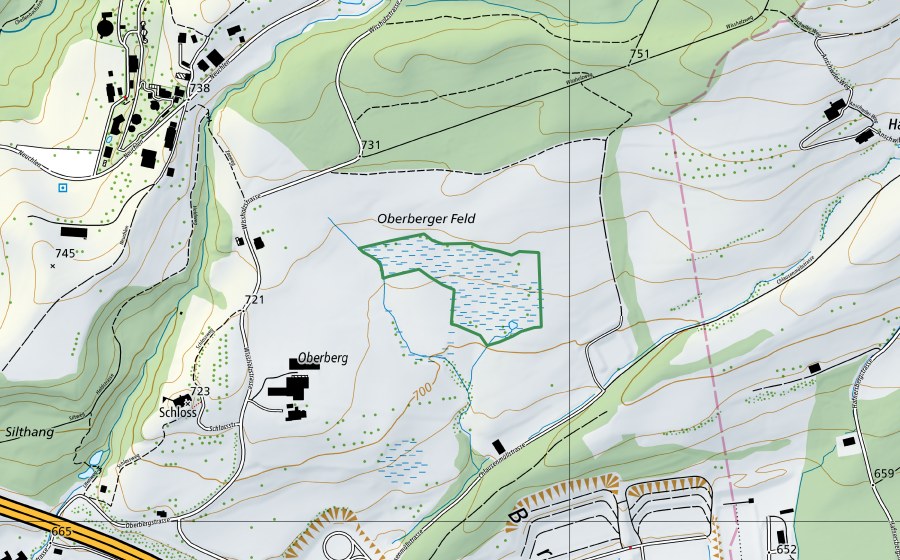 Landeskarte swisstopo mit dem Schutzperimeter von Oberbergfeld (Naturschutzgebiet)