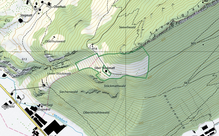 Carta nazionale swisstopo con il perimetro protetto di Obere Stöckmatt (Riserva naturale)