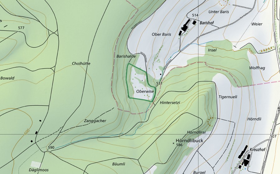 Landeskarte swisstopo mit dem Schutzperimeter von Oberwise (Naturschutzgebiet)
