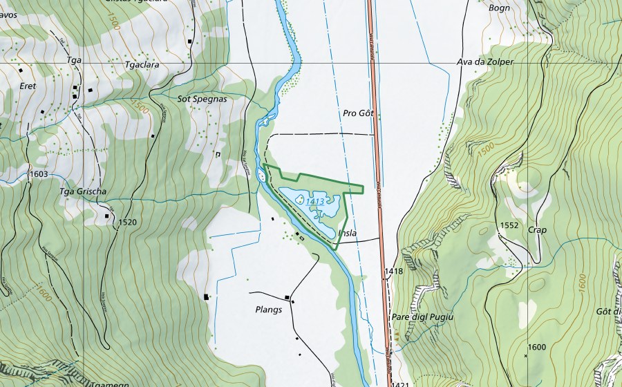 swisstopo national map showing the protected perimeter of Palex (Nature reserve)