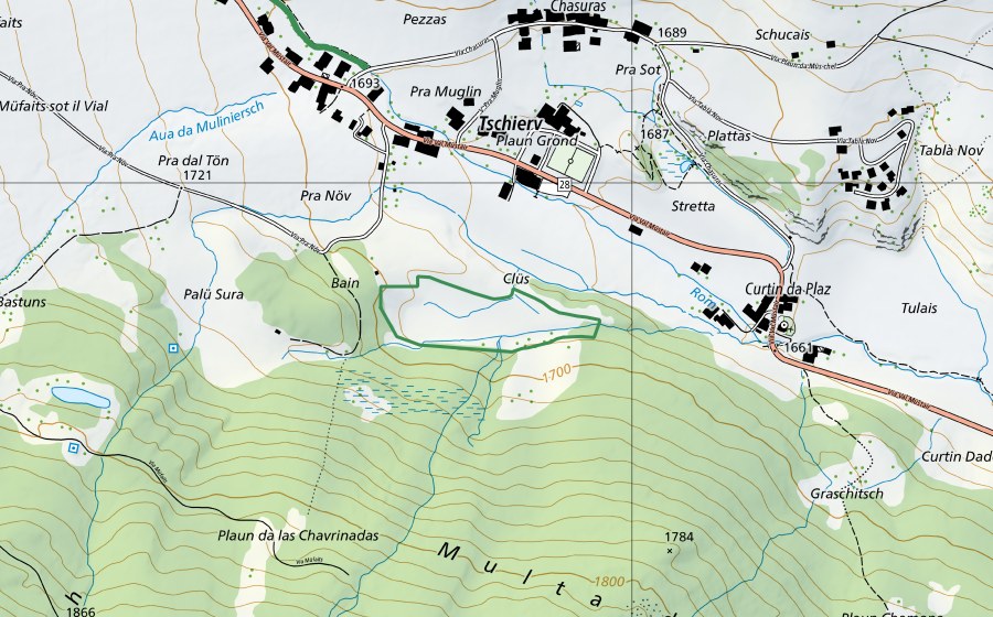 swisstopo national map showing the protected perimeter of Palü Sot (Nature reserve)