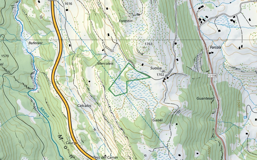swisstopo national map showing the protected perimeter of Palude di Suossa (Nature reserve)