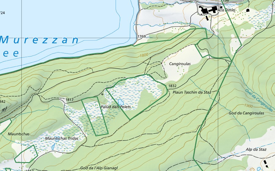 Carte nationale swisstopo avec le périmètre protégé de Palüds dels Pelets (Réserve naturelle)