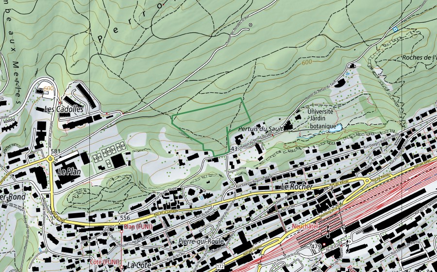 Landeskarte swisstopo mit dem Schutzperimeter von Pertuis-du-Sault (Naturschutzgebiet)
