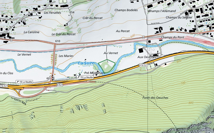 swisstopo national map showing the protected perimeter of Péry Au Vernet (Nature reserve)