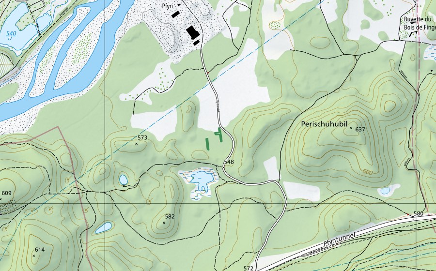 Landeskarte swisstopo mit dem Schutzperimeter von Pfynwald (Naturschutzgebiet)