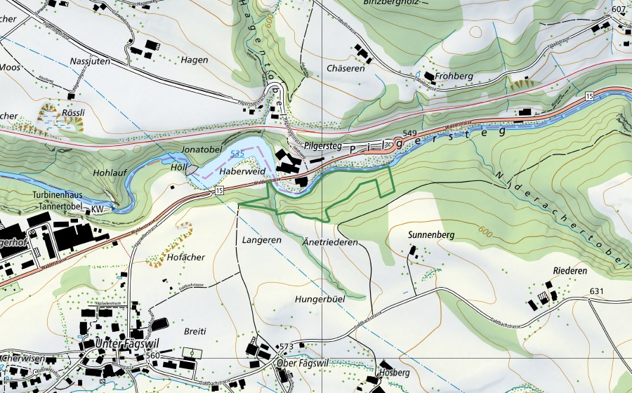 Carte nationale swisstopo avec le périmètre protégé de Pilgersteg (Réserve naturelle)