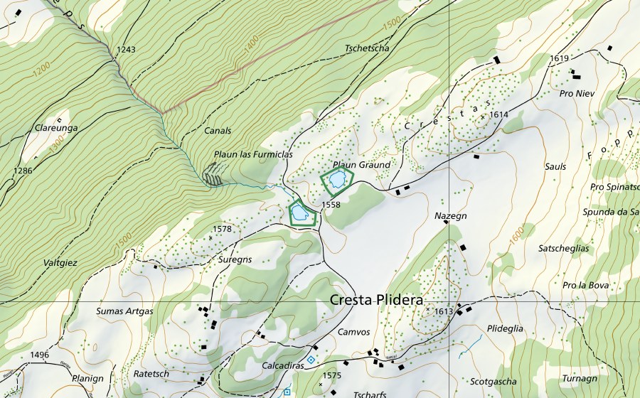 Carte nationale swisstopo avec le périmètre protégé de Plaun Graund (Réserve naturelle)