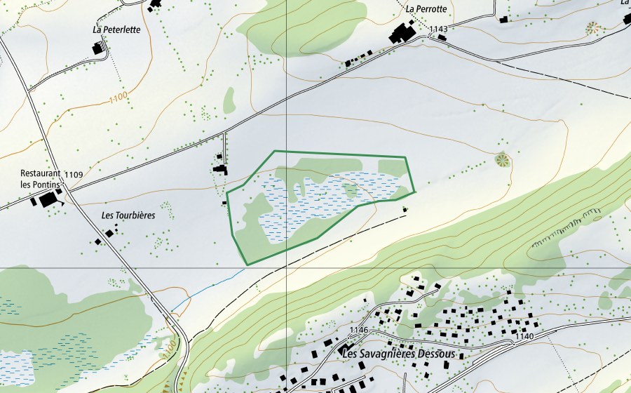 Landeskarte swisstopo mit dem Schutzperimeter von Pontins (Naturschutzgebiet)