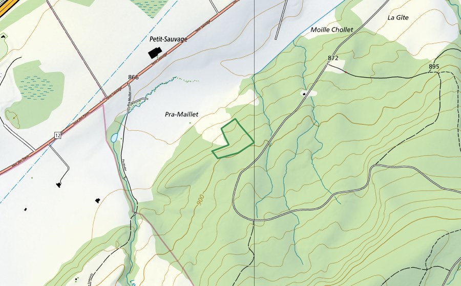 Landeskarte swisstopo mit dem Schutzperimeter von Pra-Maillet (Naturschutzgebiet)
