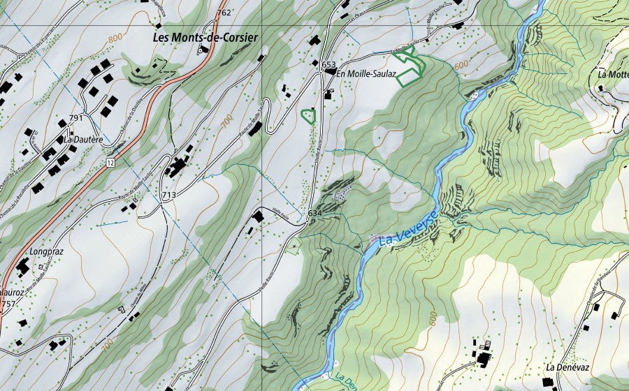 Carte nationale swisstopo avec le périmètre protégé de Praz Libon (Réserve naturelle)