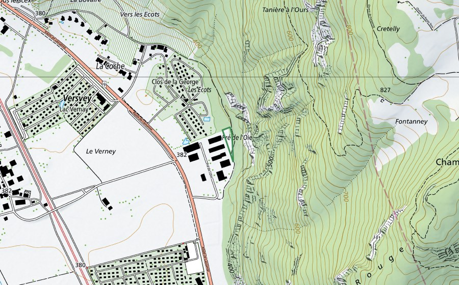 swisstopo national map showing the protected perimeter of Pré de l'Oie (Nature reserve)