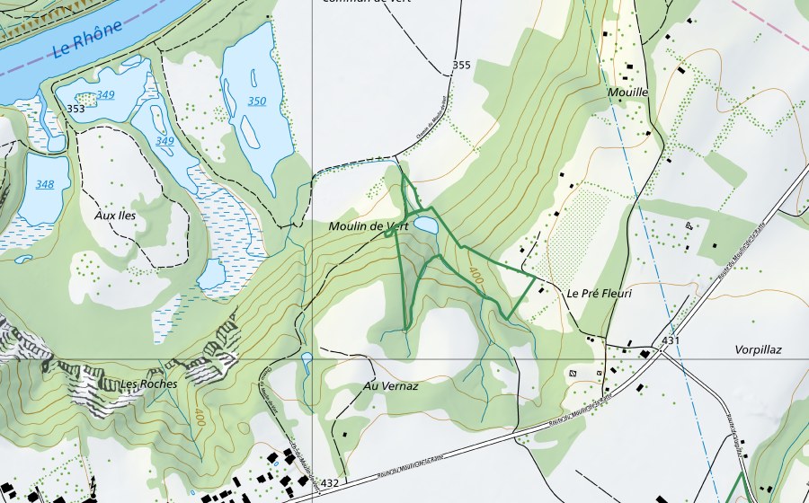 Carte nationale swisstopo avec le périmètre protégé de Pré Fleuri (Réserve naturelle)