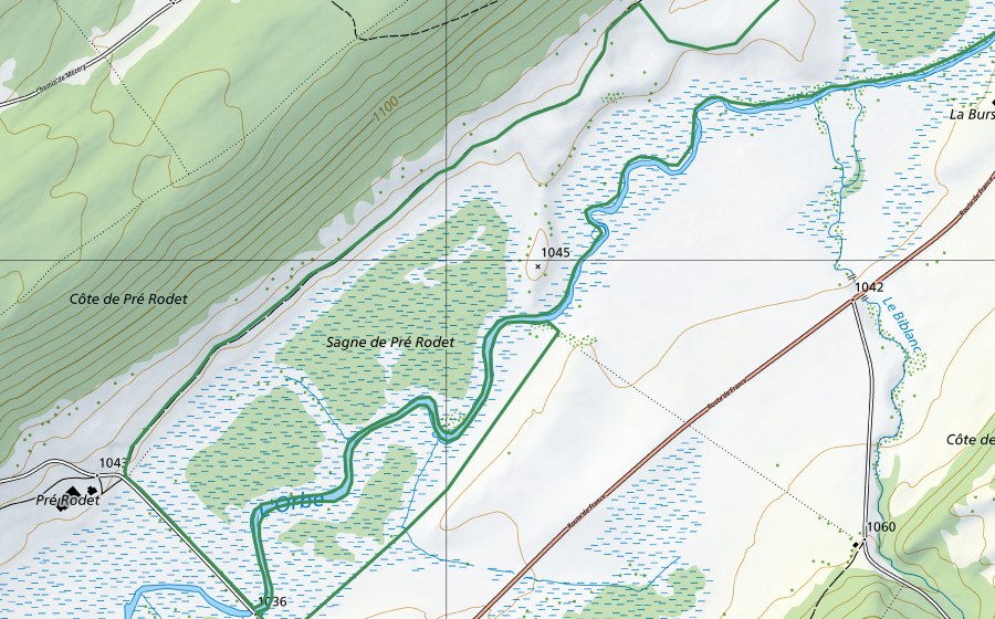 Landeskarte swisstopo mit dem Schutzperimeter von Pré Rodet (Naturschutzgebiet)