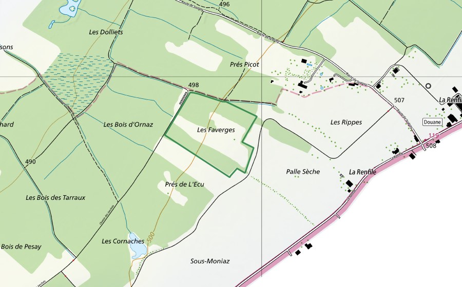 Carte nationale swisstopo avec le périmètre protégé de Prés de Faverges (Réserve naturelle)
