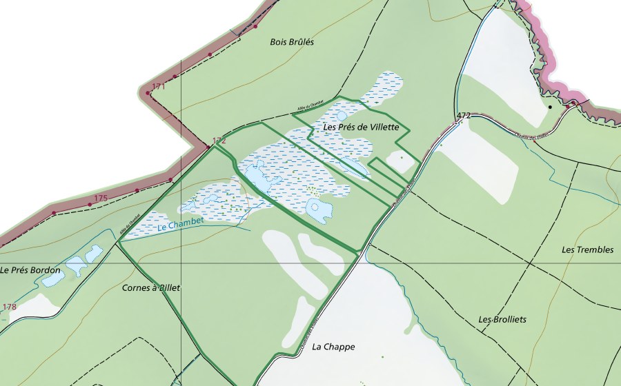 Carta nazionale swisstopo con il perimetro protetto di Prés de Villette (Riserva naturale)