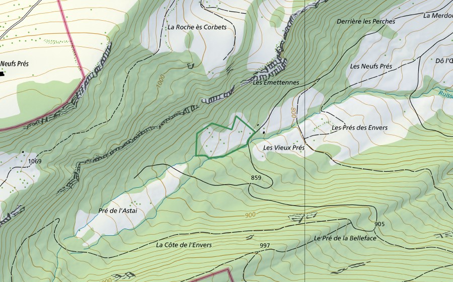 Carte nationale swisstopo avec le périmètre protégé de Prés des Envers Roches (Réserve naturelle)