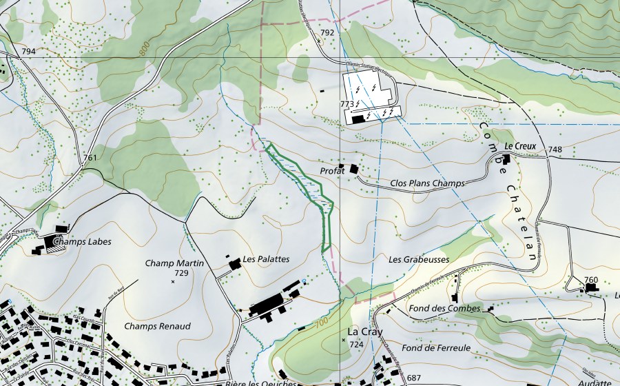 Landeskarte swisstopo mit dem Schutzperimeter von Profat (Naturschutzgebiet)