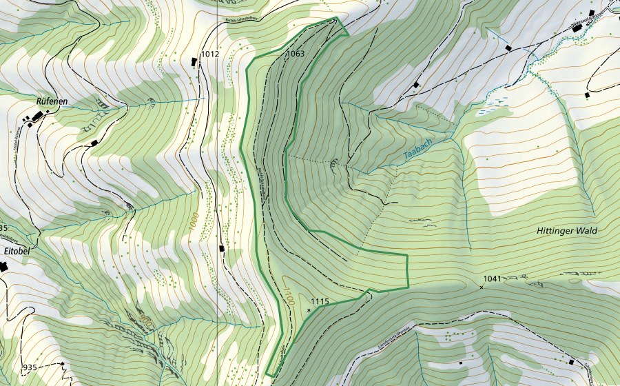 Carte nationale swisstopo avec le périmètre protégé de Rachlis (Réserve naturelle)