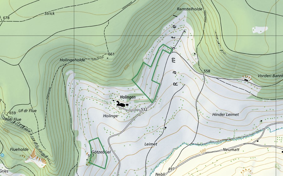 Landeskarte swisstopo mit dem Schutzperimeter von Ramstel (Naturschutzgebiet)