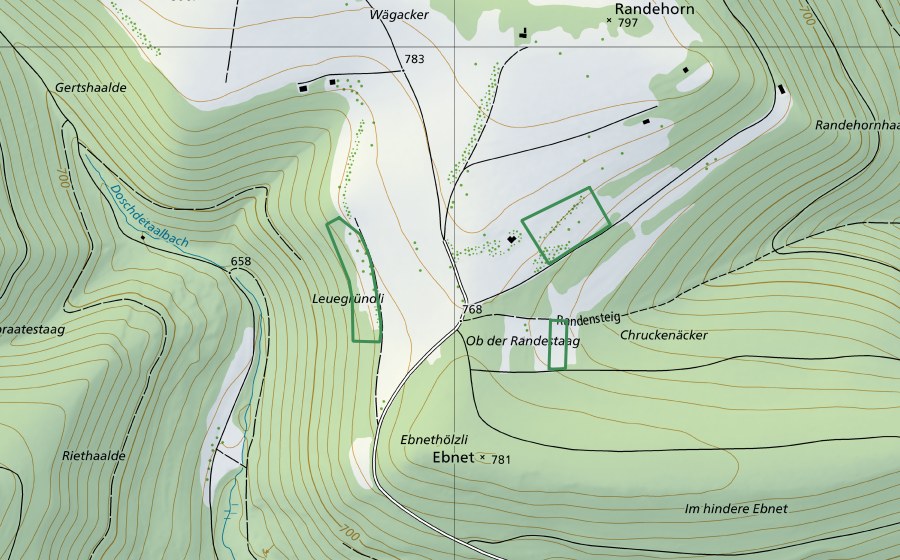 swisstopo national map showing the protected perimeter of Randehorn-Leuegründli (Nature reserve)