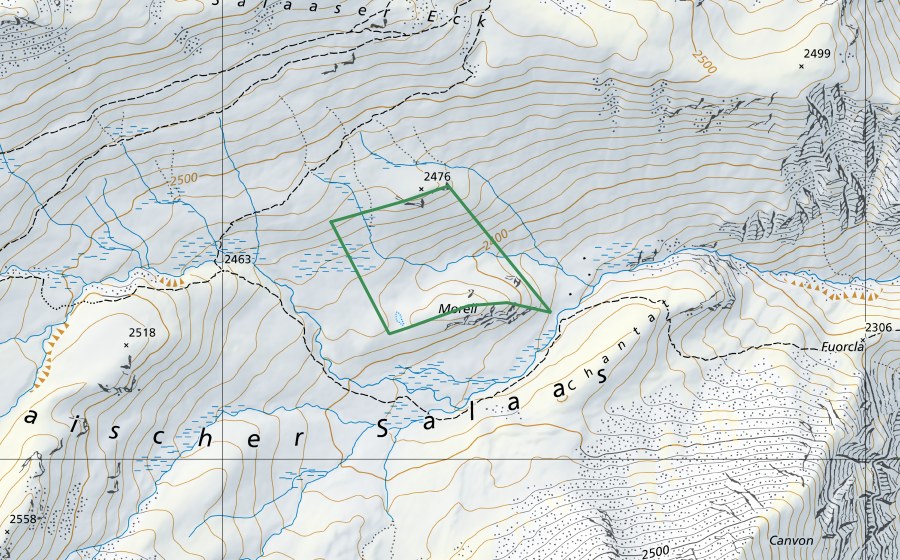 Carte nationale swisstopo avec le périmètre protégé de Ravaischer Salaas (Réserve naturelle)