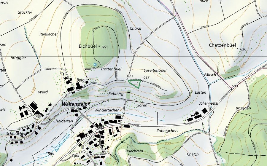 Carta nazionale swisstopo con il perimetro protetto di Rebberg Elgg (Riserva naturale)